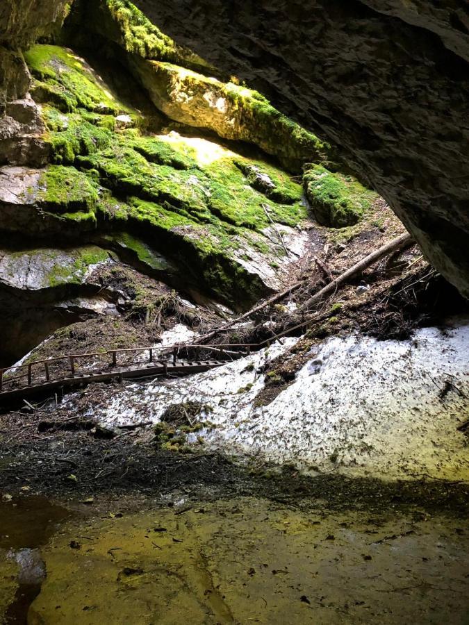 Cabana Poiana Dealul Frumos Gîrda de Sus Extérieur photo