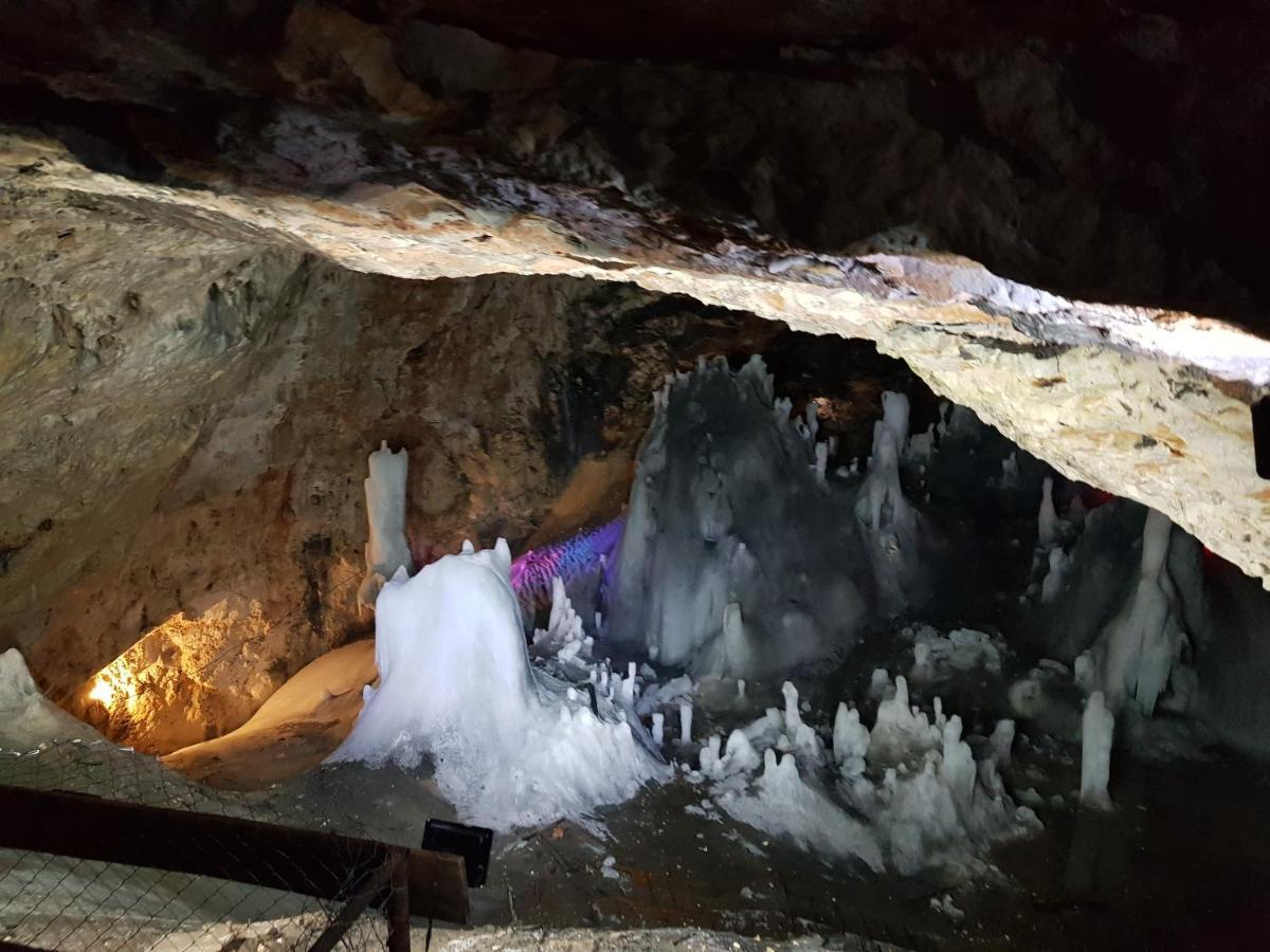 Cabana Poiana Dealul Frumos Gîrda de Sus Extérieur photo