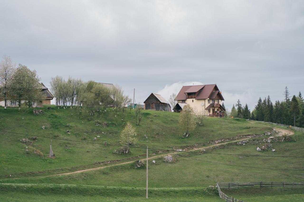 Cabana Poiana Dealul Frumos Gîrda de Sus Extérieur photo