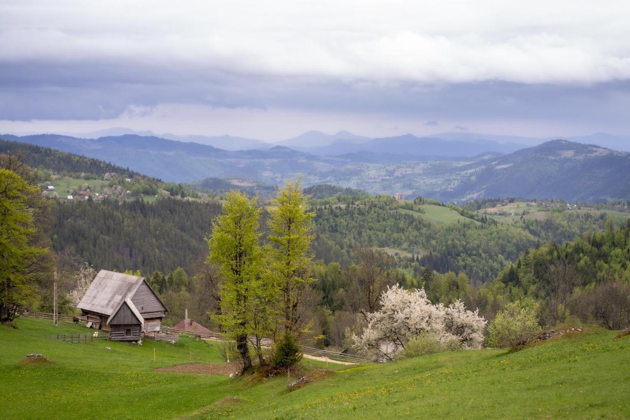 Cabana Poiana Dealul Frumos Gîrda de Sus Extérieur photo