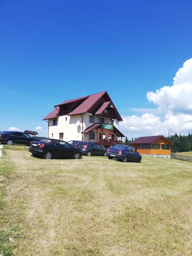 Cabana Poiana Dealul Frumos Gîrda de Sus Extérieur photo